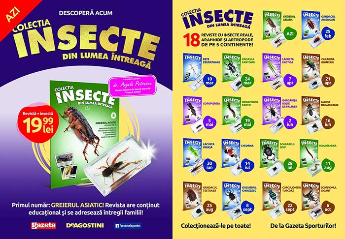 Insecte din lumea întreagă