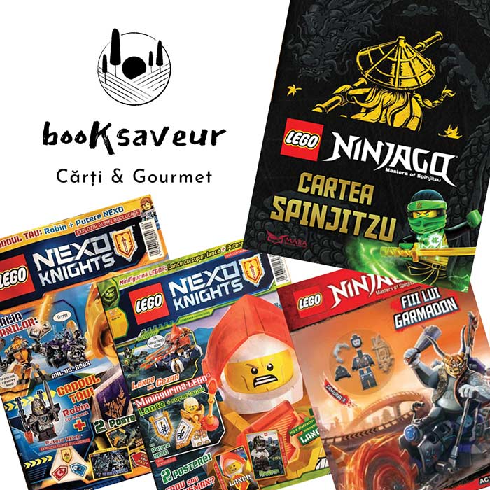 Cărți Lego