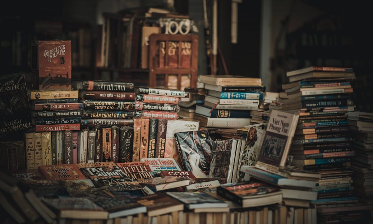 pile of assorted novel books