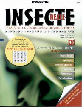 INSECTE_REALE_(ROM)NR_43_-_2013